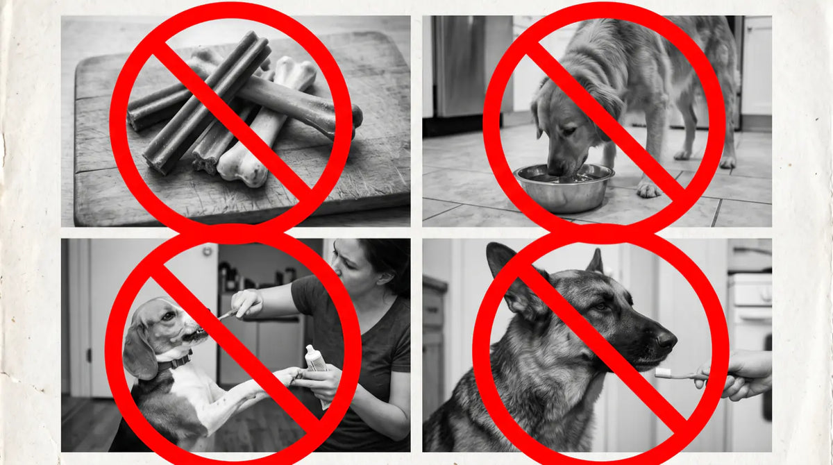Four crossed-out dental products: chews, water additives, brushing, gels