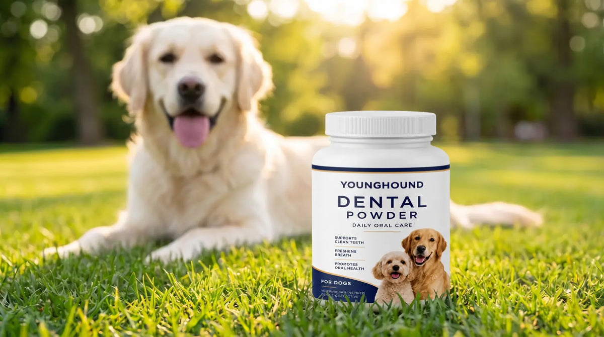 The Young Hound jar photographed outdoors in the grass
