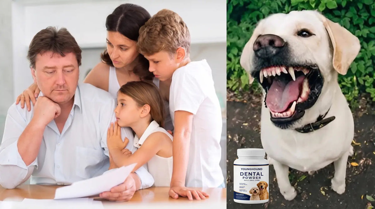 A family reading a veterinary estimate
