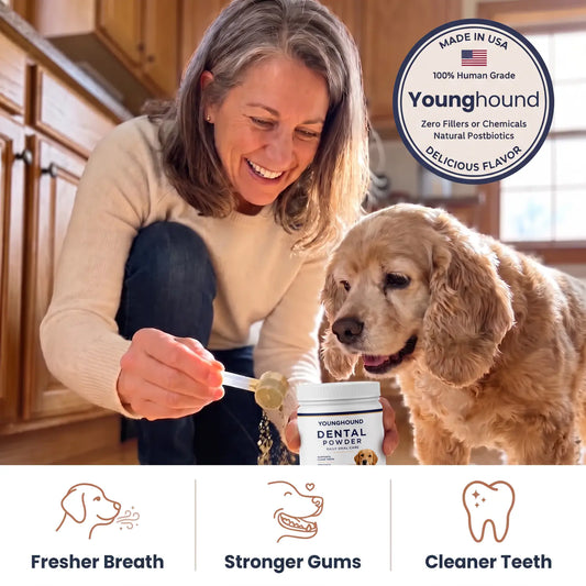 A dog owner scooping Young Hound powder into a dog bowl