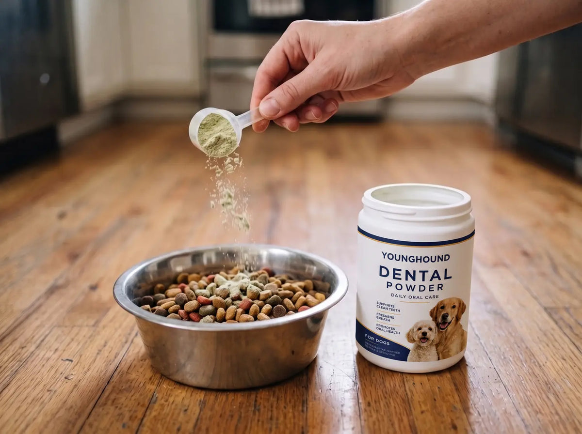 Hand sprinkling dental powder over a bowl of dog kibble