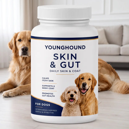 The Young Hound YH-02 Skin & Gut jar in a living room, a calm dog lying behind it